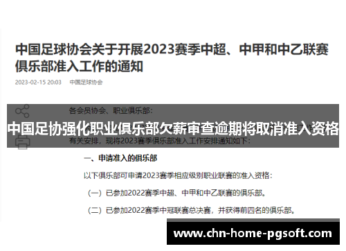 中国足协强化职业俱乐部欠薪审查逾期将取消准入资格